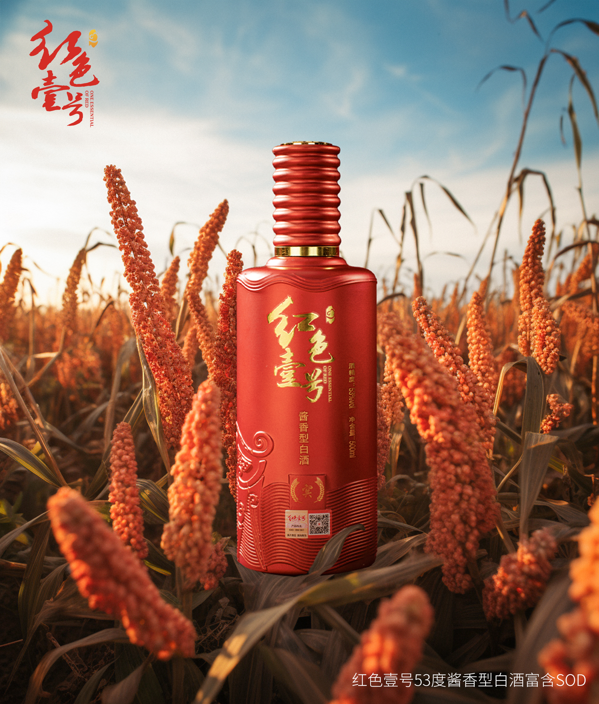 重陽下沙，正是紅色壹號釀造時節(jié)1.jpg