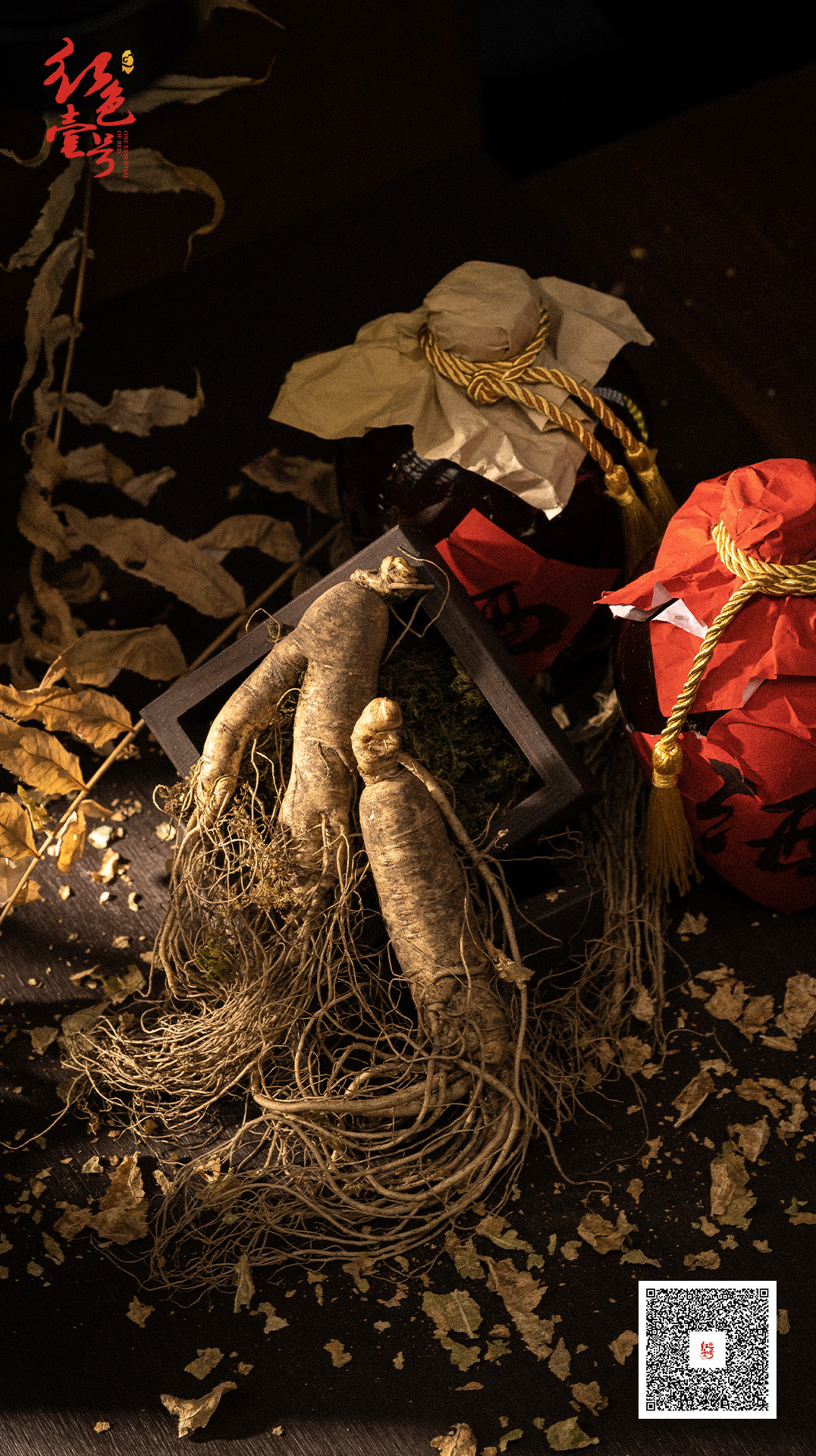 中醫(yī) 人參 紅色壹號酒.jpg 中醫(yī) 人參 紅色壹號酒.jpg