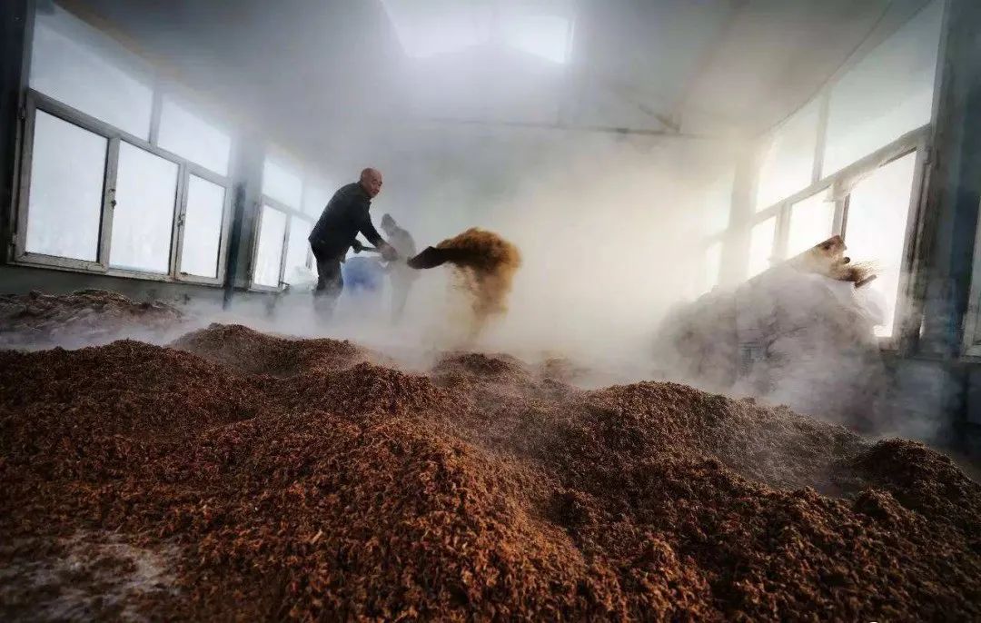 cfceb5a5afb1bf0904666e1e891602cb.jpg cfceb5a5afb1bf0904666e1e891602cb.jpg