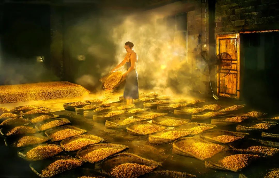 醬酒釀造.jpg 醬酒釀造.jpg