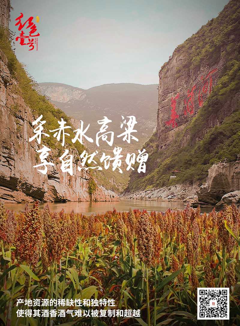 紅色壹號(hào)，春回大地，用美酒講述時(shí)間的故事(圖2)