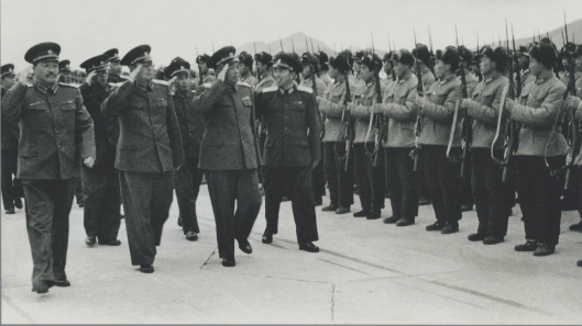 劉亞樓任職空軍司令員時，為何要在空軍大院栽種銀杏樹？_鳳凰網(wǎng)視頻_鳳凰網(wǎng)
