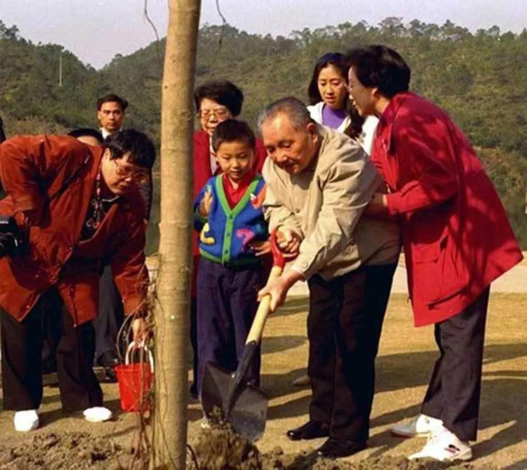 在南巡到達(dá)深圳時(shí)，鄧小平曾前往仙湖植樹。當(dāng)深圳仙湖植物園管理處負(fù)責(zé)人介紹玉樹又叫發(fā)財(cái)樹時(shí)，鄧榕對父親說，“這是發(fā)財(cái)樹，我們都來摸一下嘛，都發(fā)財(cái)”“以后咱們家也種一棵”。鄧小平回答：“讓全國人民都種，讓全國人民都發(fā)財(cái)?！?png