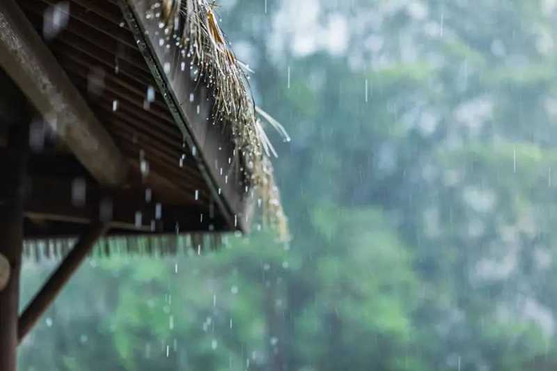 聽雨聞香，再喝一壺不求解渴的酒.jpg