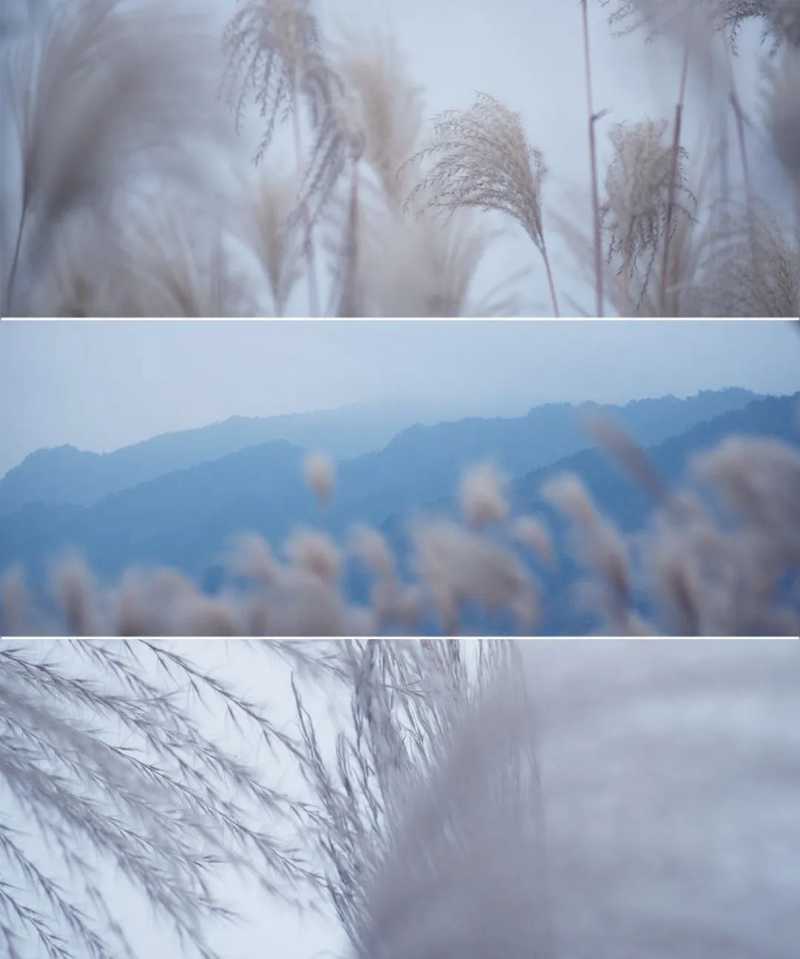 “酂白”是中國天然形成的色彩之一，是一種白中泛綠的顏色.jpg