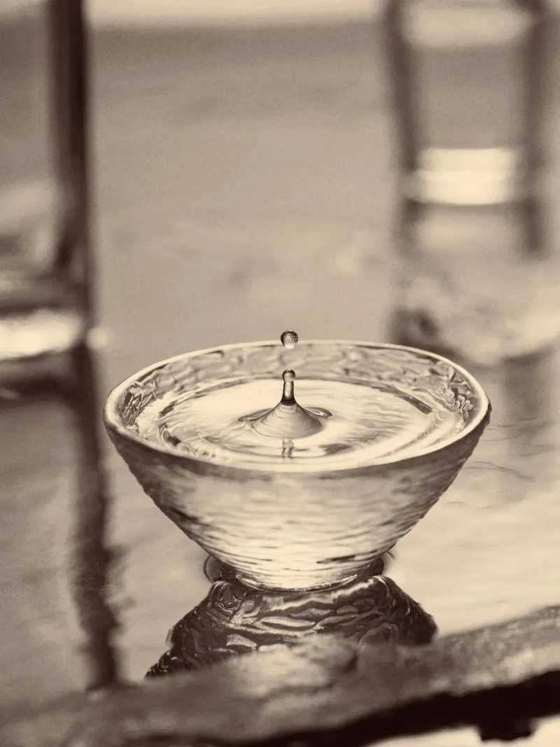 宜賓在古代為敘州府，自古就是名酒產(chǎn)地，宋代產(chǎn)出有春碧、荔枝綠兩種名酒。.jpg
