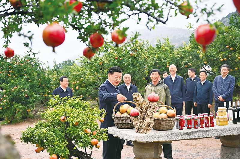 2023年9月24日，中共中央總書記、國家主席、中央軍委主席習(xí)近平在浙江考察結(jié)束返京途中，來到山東省棗莊市考察。.jpg