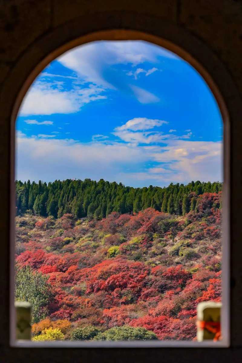 濟南的秋天15紅葉谷.jpg
