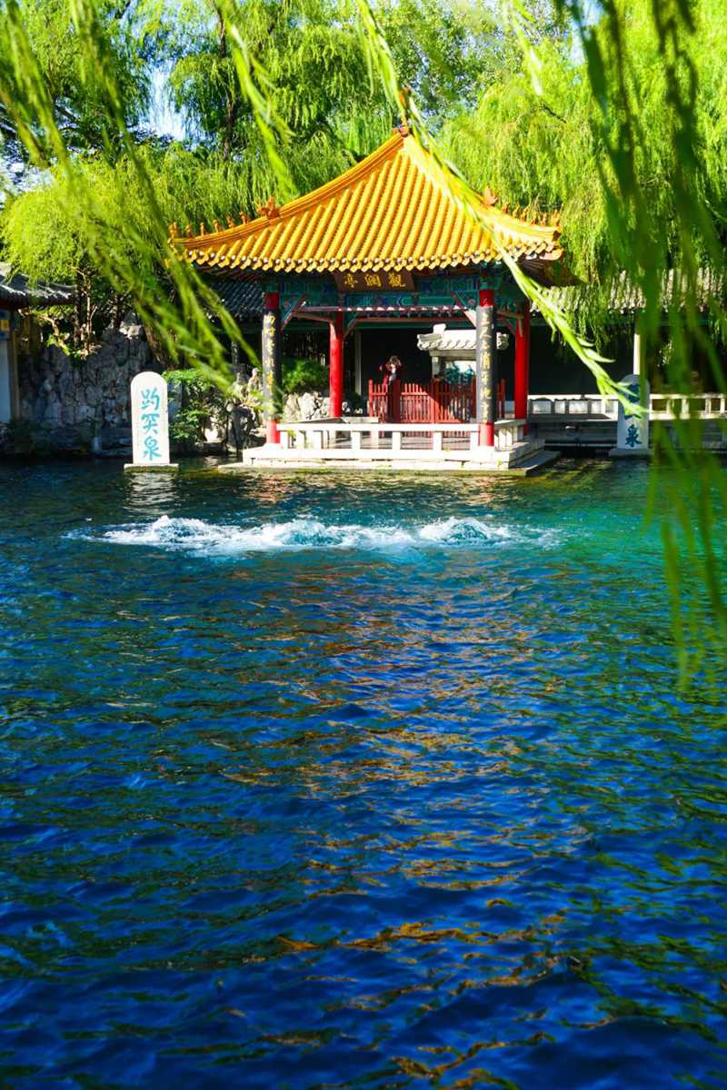 濟南的秋天21.jpg