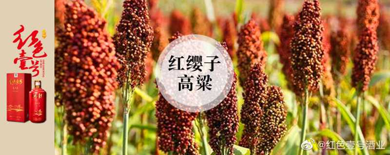 紅色壹號精品醬酒的魅力已經(jīng)征服越來越多的人，對它的了解越多，對它的喜愛也就會越深。懂與不懂醬酒，只差這篇文章。(圖4)