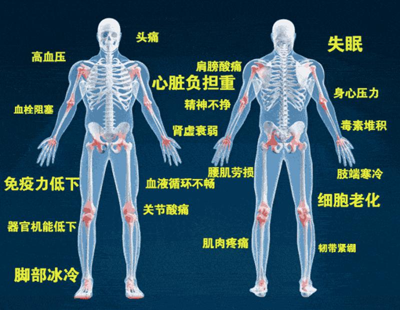 中醫(yī)基于人體五臟六腑，結(jié)合四季特征，地理位置，陰陽(yáng)調(diào)和，.gif