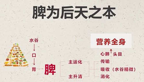 經(jīng)常熬夜，太過勞累，可身體提供不了持續(xù)的支撐，便出現(xiàn)了問題。.png