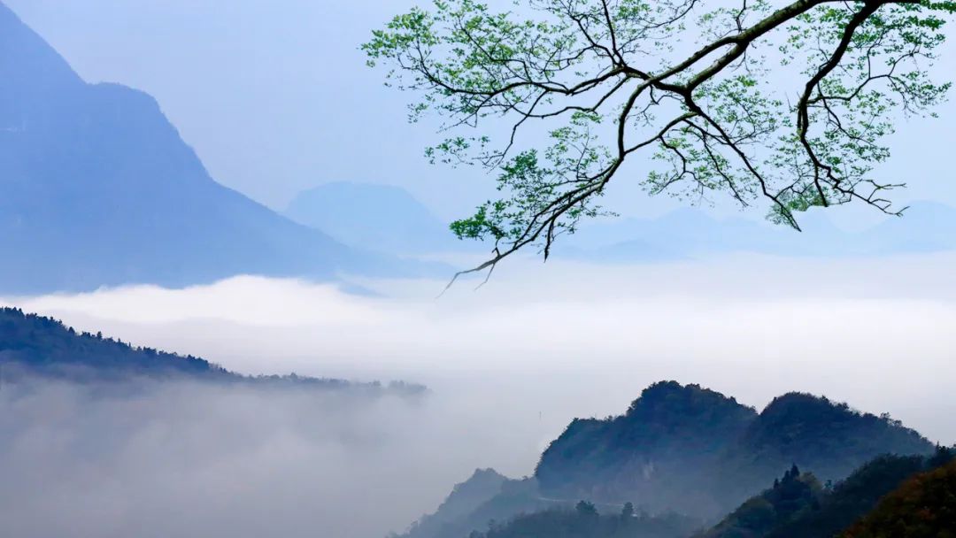 坐看百花開落遍，依然山色對清盧.jpg