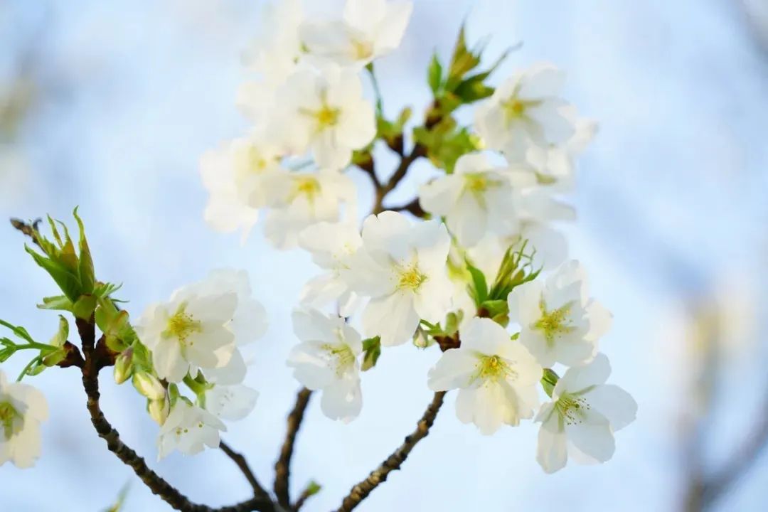 長江悲已滯，萬里念將歸。.jpg