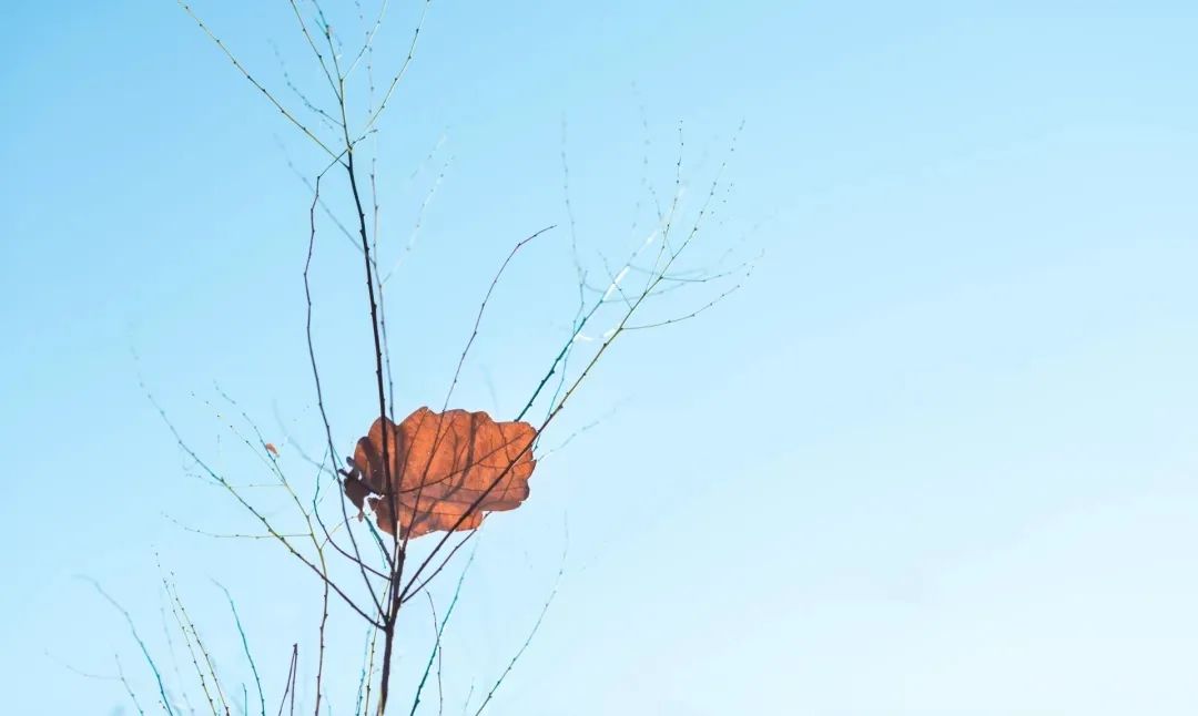 渡水復(fù)渡水，看花還看花。.jpg