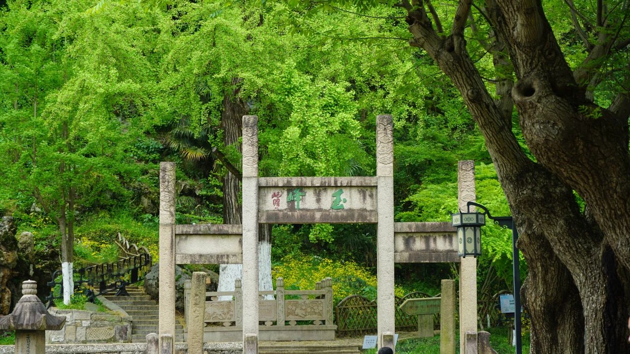 夏風(fēng)中，有“獨屬于夏日”的生氣4.jpg