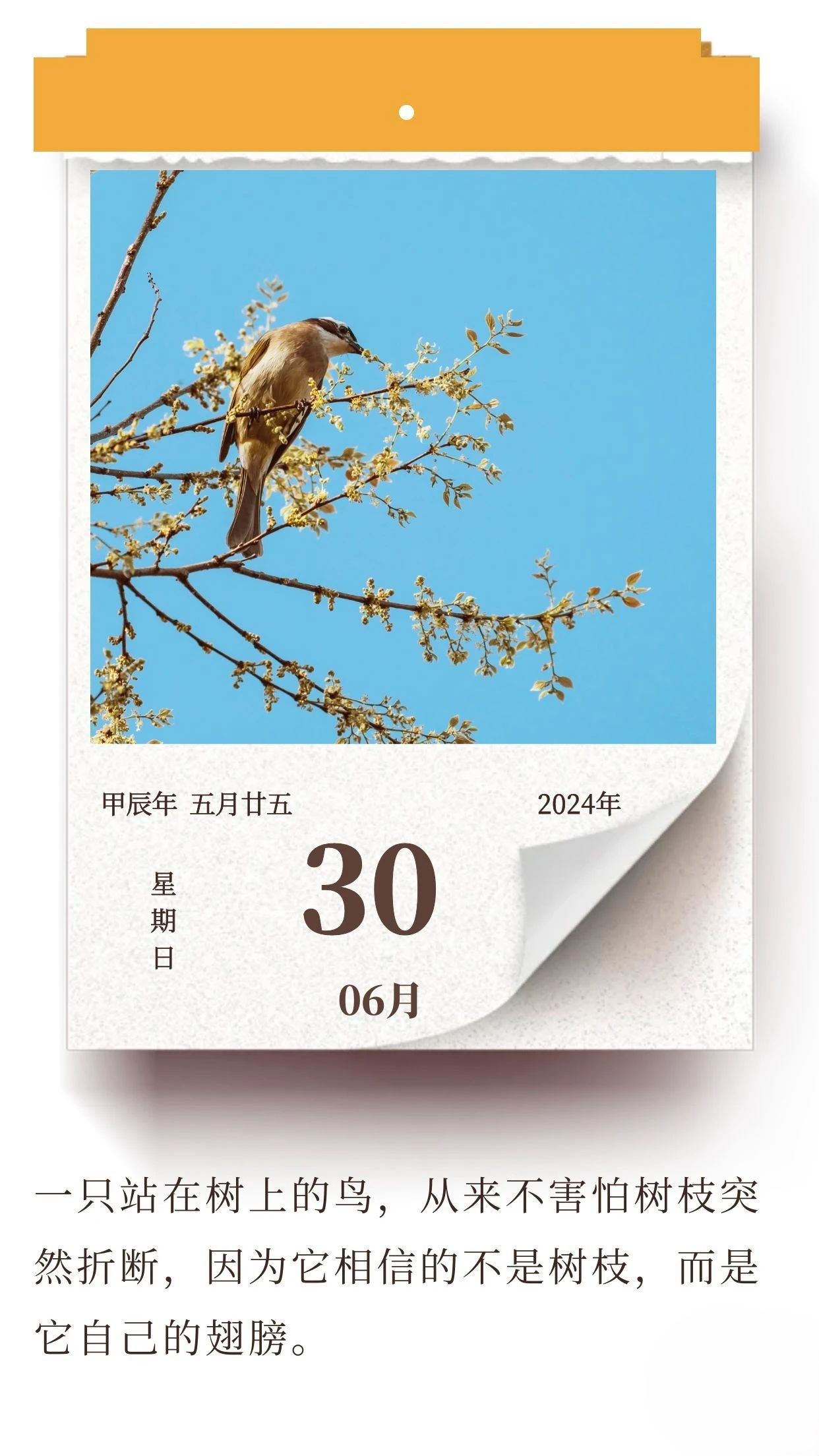 努力提升自己，比依靠他人要更可靠 .jpg