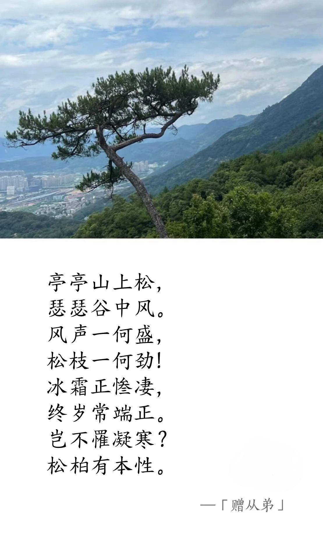 魏晉·劉楨《贈從弟》.jpg